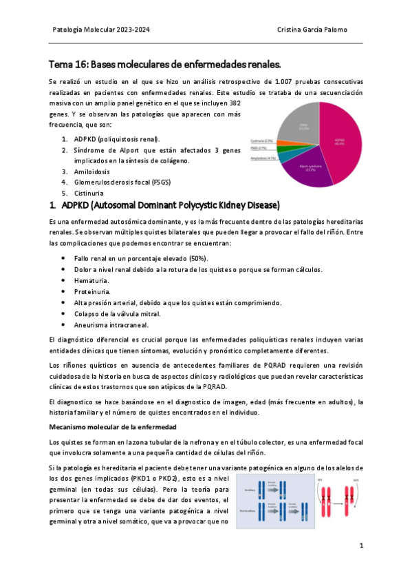 Miniatura del documento Tema 16 patología.pdf