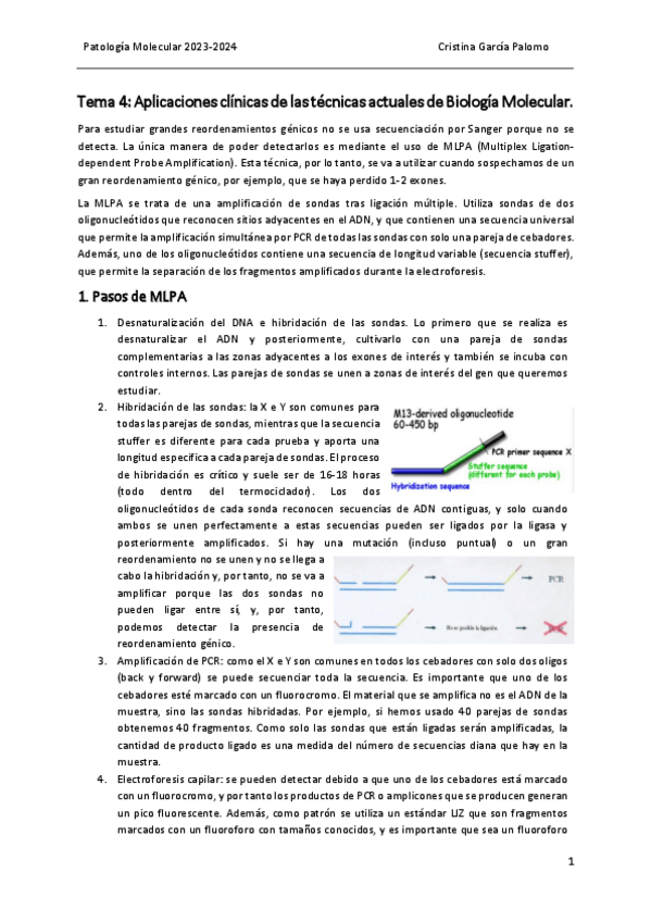 Miniatura del documento Tema 4 patología.pdf
