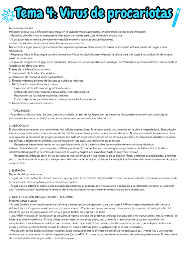 Miniatura del documento TEMA-4.pdf