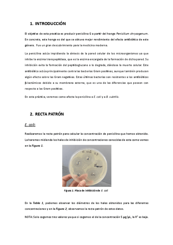 Miniatura del documento PRACTICA-2.pdf