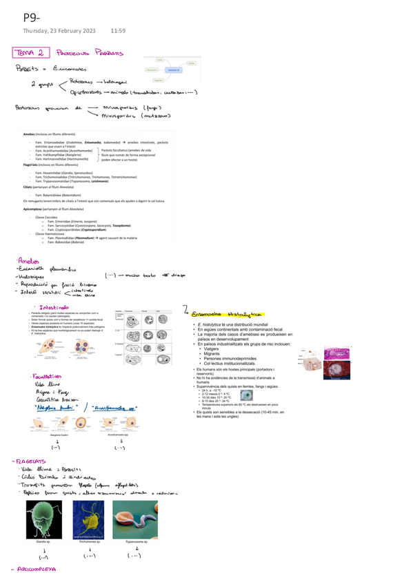 Miniatura del documento apunts-parasito-t2.pdf