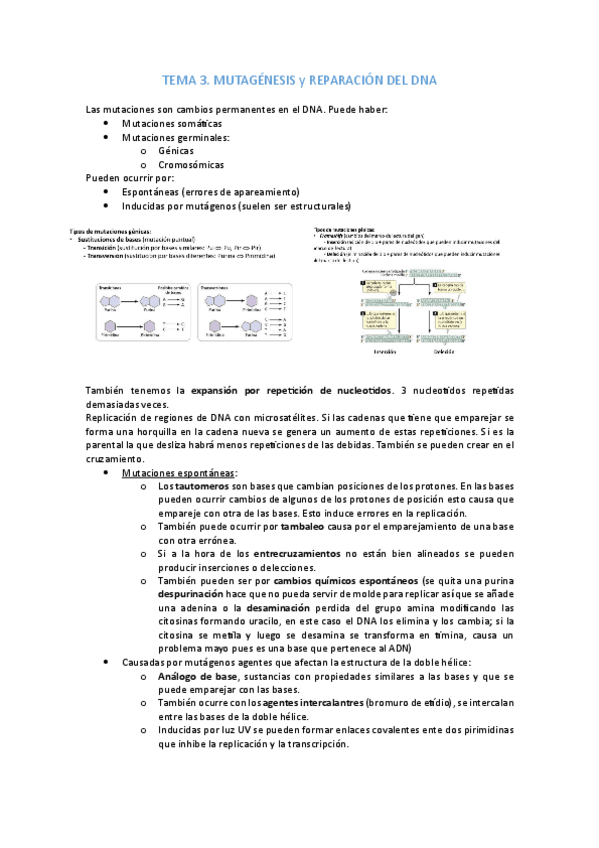 Miniatura del documento tema-3.pdf
