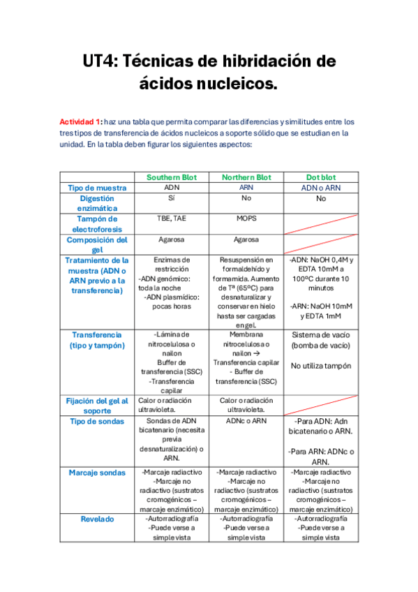 Miniatura del documento BMC-Tarea-T4-IES-BENJAMIN-RUA.pdf