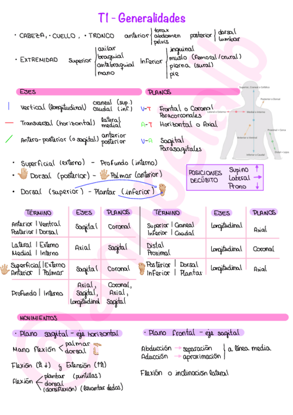 Miniatura del documento T1-Generalidades.pdf