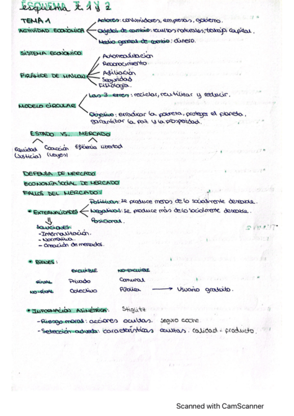 Miniatura del documento esquemas-tema-1234.pdf