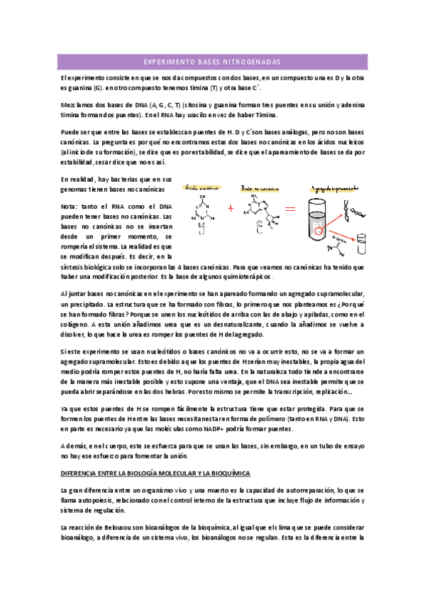 Miniatura del documento TEMA-1-ACIDOS-NUCLEICOS-ESTRUCTURA.pdf