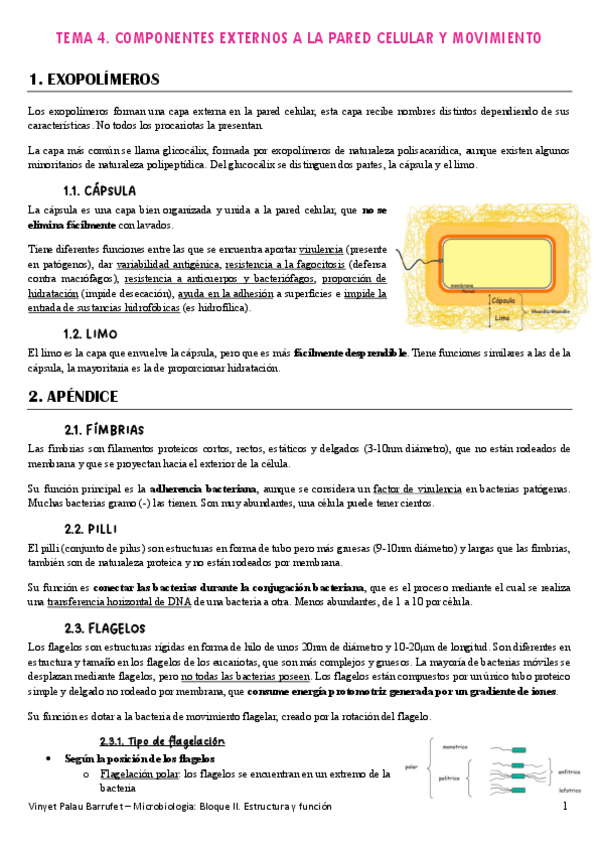 Miniatura del documento MICROBIOLOGIA.-Tema-4.pdf