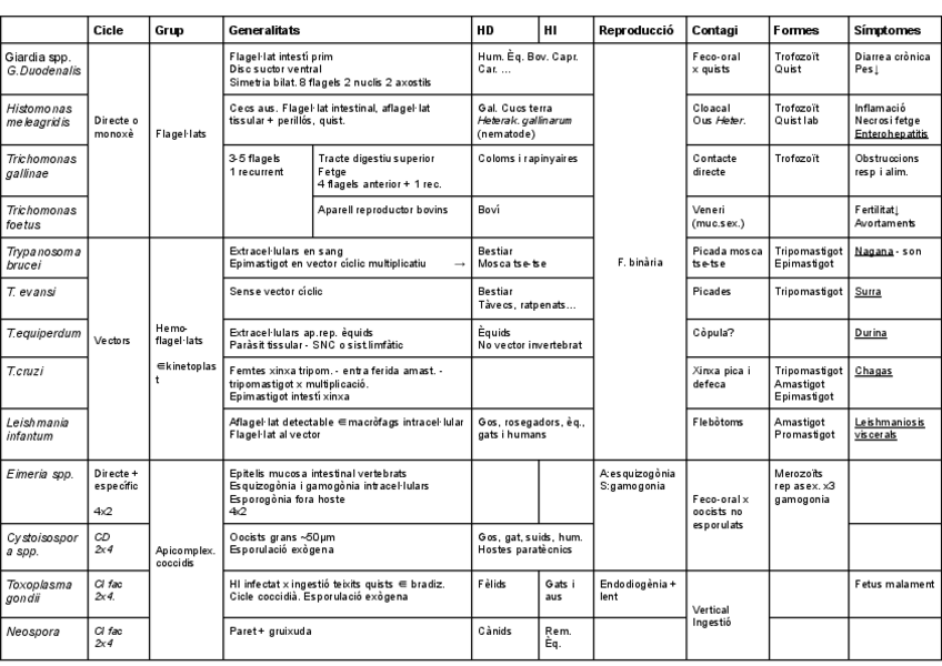 Miniatura del documento esquema-parasitologia.pdf