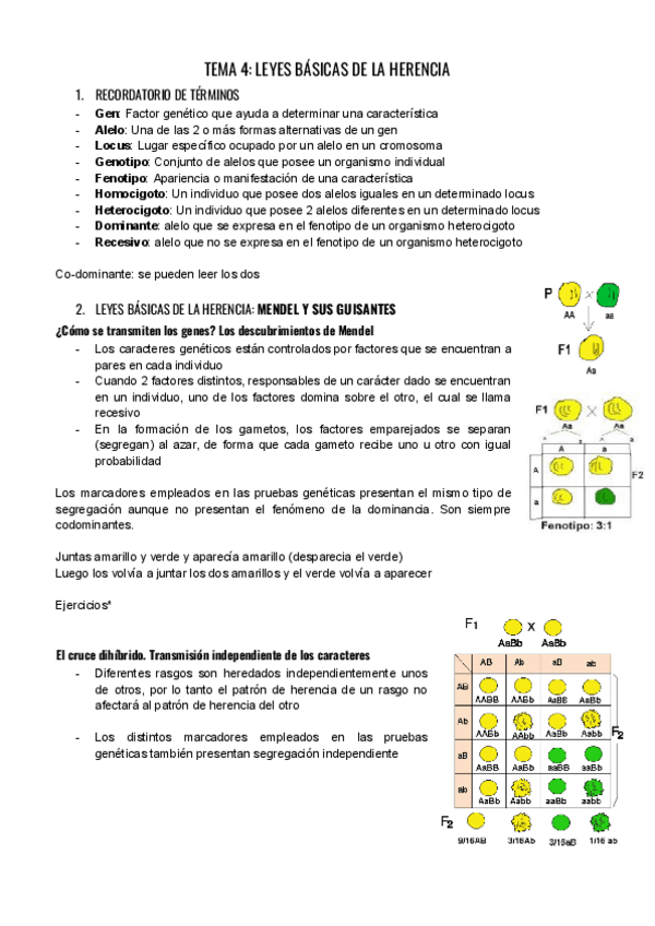 Miniatura del documento TAC-T.-4.pdf