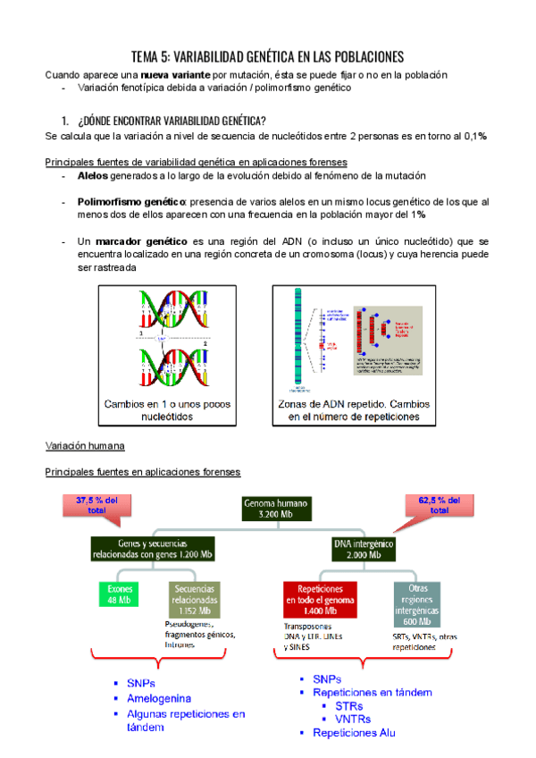 Miniatura del documento TAC-T.-5.pdf