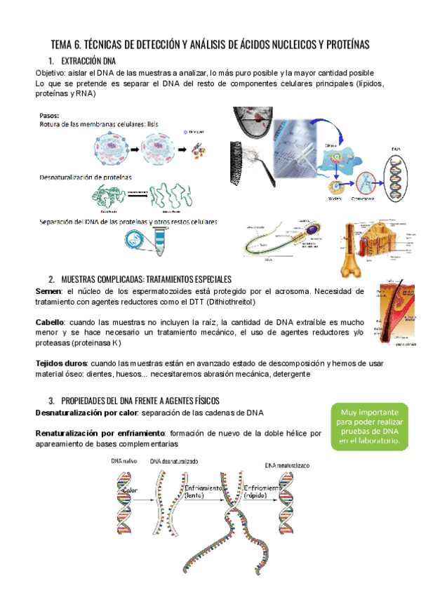 Miniatura del documento TAC-T.-6.pdf