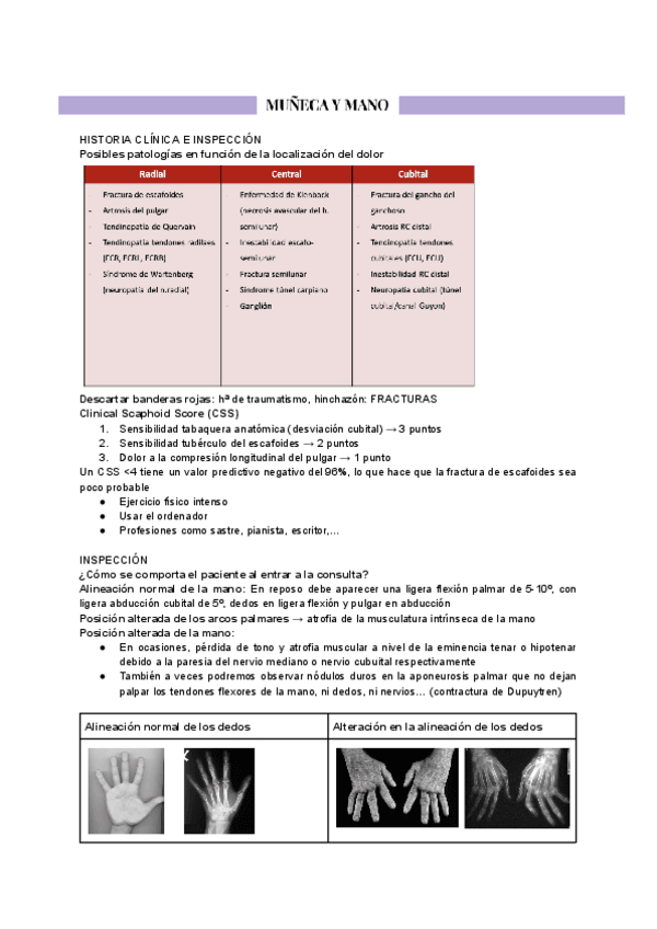 Miniatura del documento MUNECA-Y-MANO.pdf