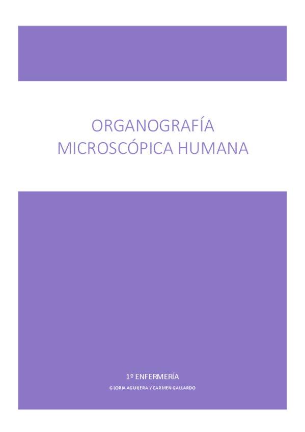 Miniatura del documento Apuntes-completos-organografia.pdf