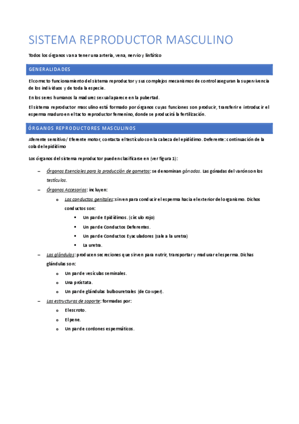 Miniatura del documento Sistema-Reproductor-Masculino.pdf
