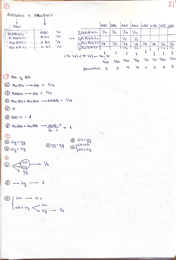 Miniatura del documento ejercicios-parte-1.pdf