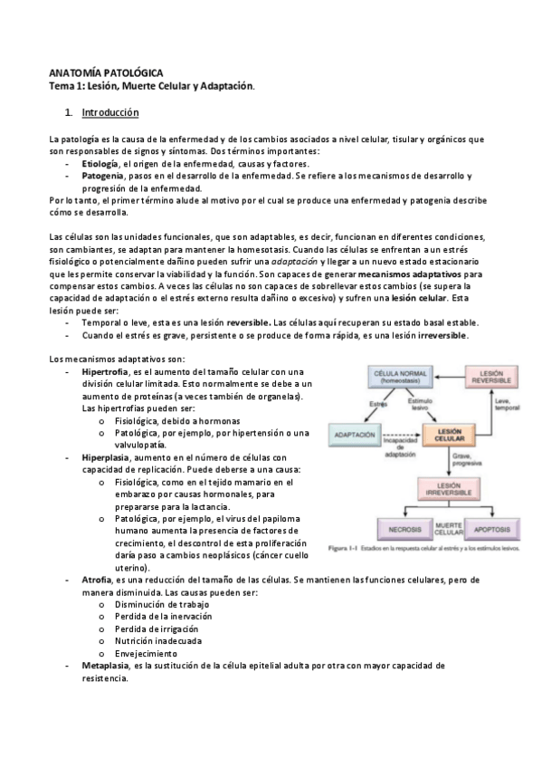 Miniatura del documento Tema-1-Lesion-Muerte-y-Adaptacion-Celular.pdf