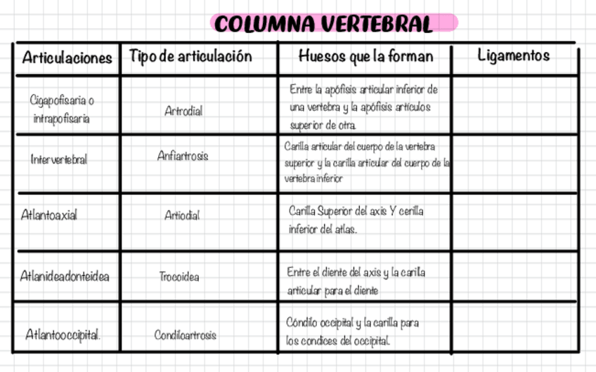 Miniatura del documento Esquema-articulaciones.pdf