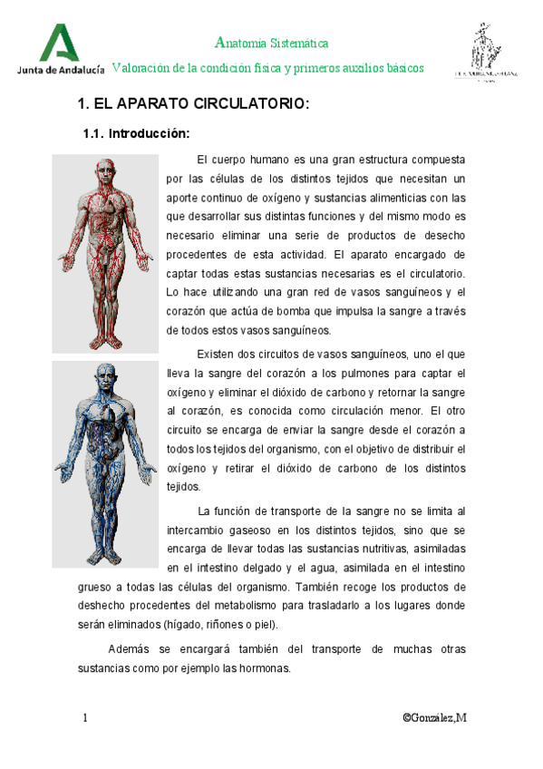 Miniatura del documento Tema-7-El-sistema-cardio-respiratorio.pdf
