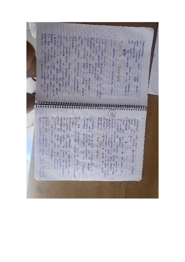 Miniatura del documento TEMA-3.pdf