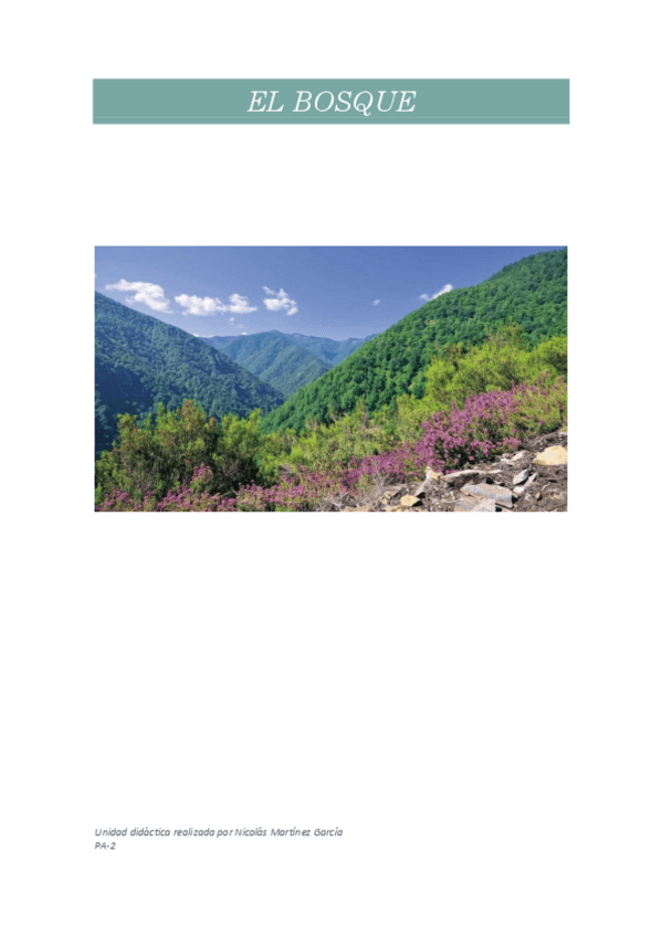 Miniatura del documento Unidad Didáctica El Bosque.pdf