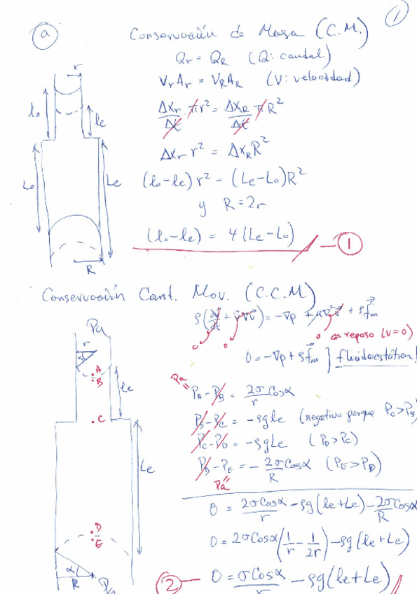 Miniatura del documento Solucion-examen-arte-fisica-convocatoria-2022-2023-junio-resuelto.pdf