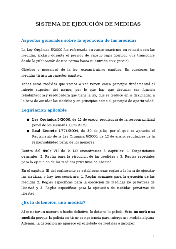 Miniatura del documento EJECUCION-DE-MEDIDAS.docx