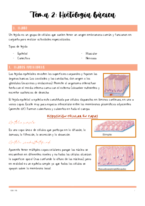 Miniatura del documento Tema-2-histologia-basica.pdf