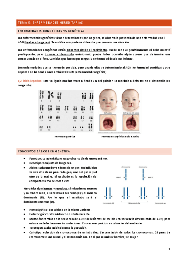 Miniatura del documento Tema-5.pdf