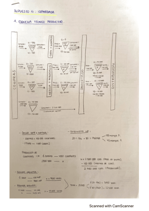 Miniatura del documento Supuesto-4-CEPARDASA.pdf