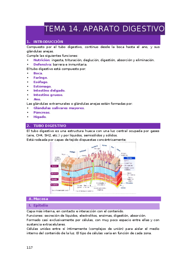 Miniatura del documento TEMA-14.-APARATO-DIGESTIVO.docx