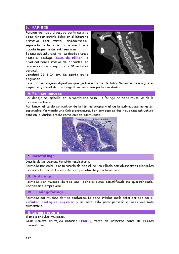 Miniatura del documento TEMA-14.2.-APARATO-DIGESTIVO-2.docx