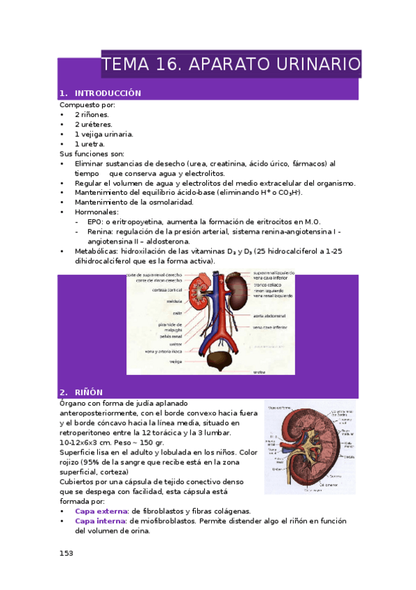 Miniatura del documento TEMA-16.-APARATO-URINARIO.docx