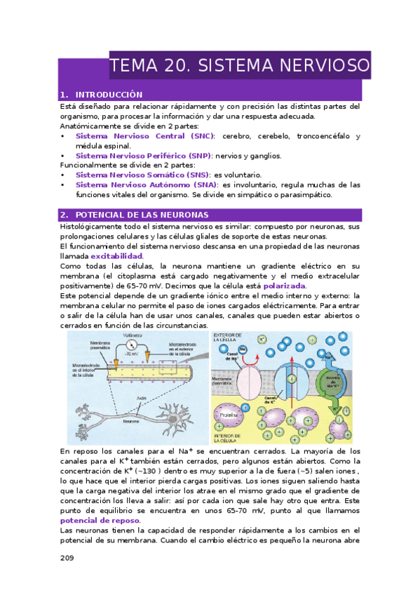 Miniatura del documento TEMA-20.-SISTEMA-NERVIOSO.docx