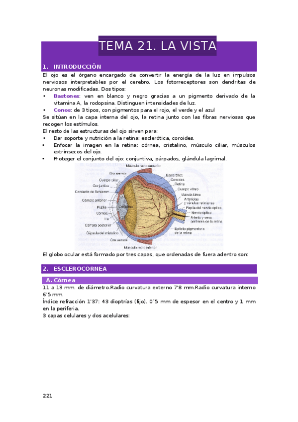 Miniatura del documento TEMA-21.-LA-VISTA.docx