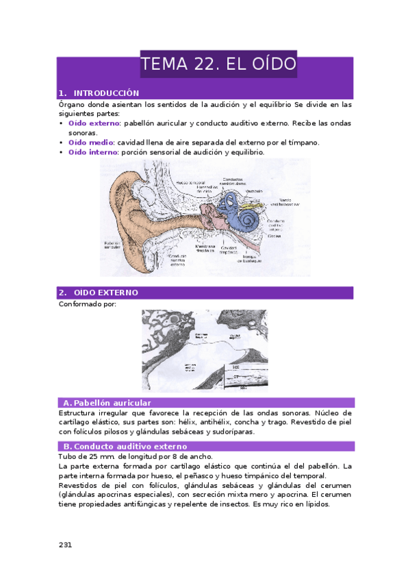 Miniatura del documento TEMA-22.-EL-OIDO.docx