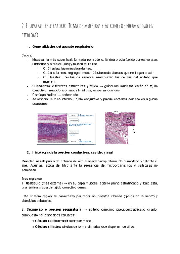 Miniatura del documento Resumen-tema-2.pdf