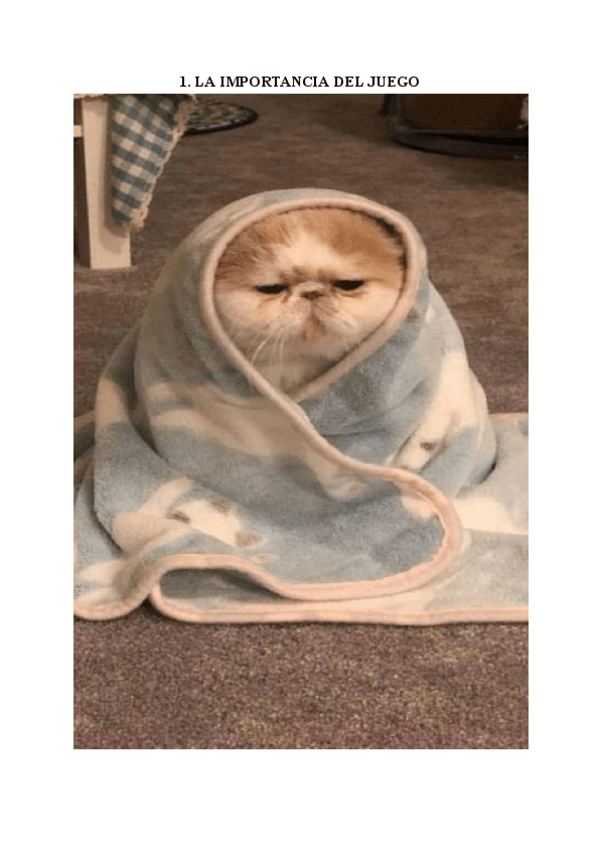 Miniatura del documento Tema-1-Juego.pdf