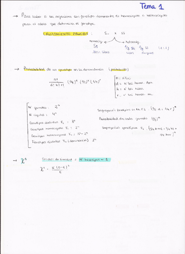 Miniatura del documento Teoría - Genética.pdf