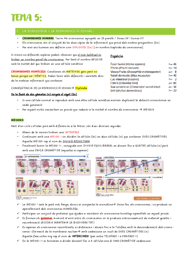 Miniatura del documento t-5-genetica.pdf