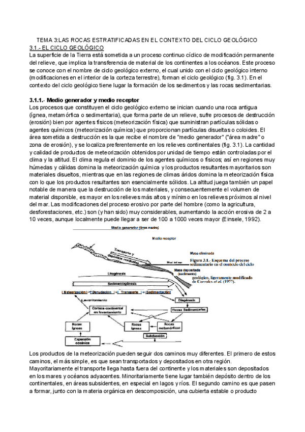 Miniatura del documento Tema-3-Las-rocas-estratificadas-en-el-contexto-del-ciclo-geologico.pdf