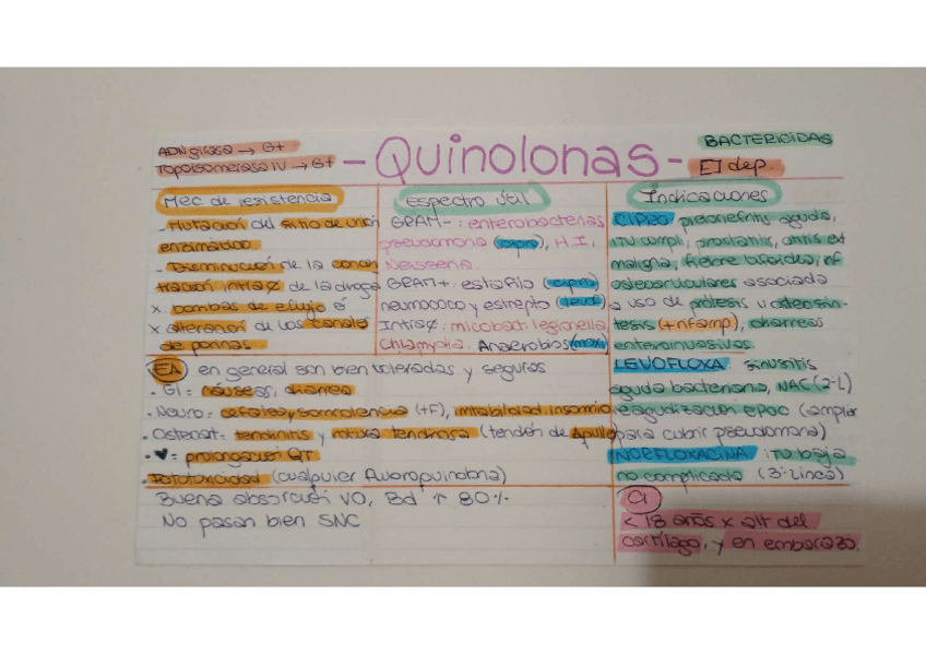 Miniatura del documento Quinolonas.pdf