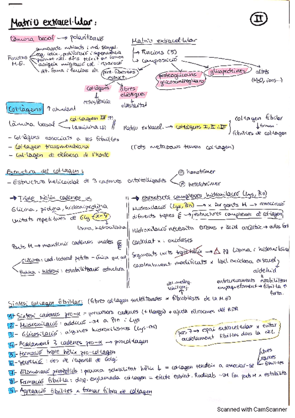 Miniatura del documento Resum-bloc-II.pdf