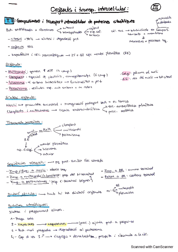 Miniatura del documento Resum-bloc-III.pdf