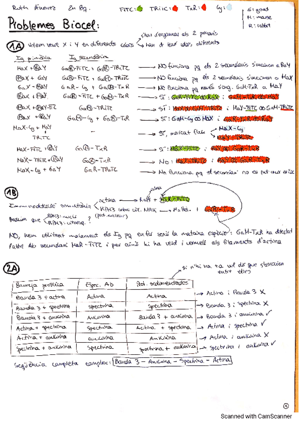 Miniatura del documento Problemes-biocel.pdf