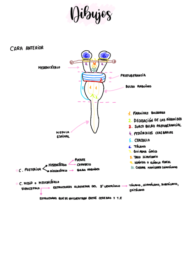 Miniatura del documento Dibujos-T.3.pdf