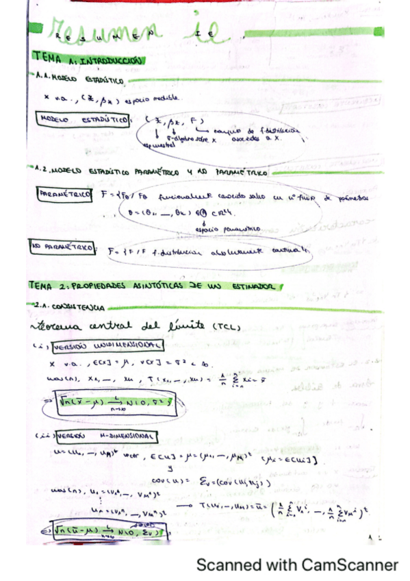 Miniatura del documento RESUMEN-INFERENCIA.pdf
