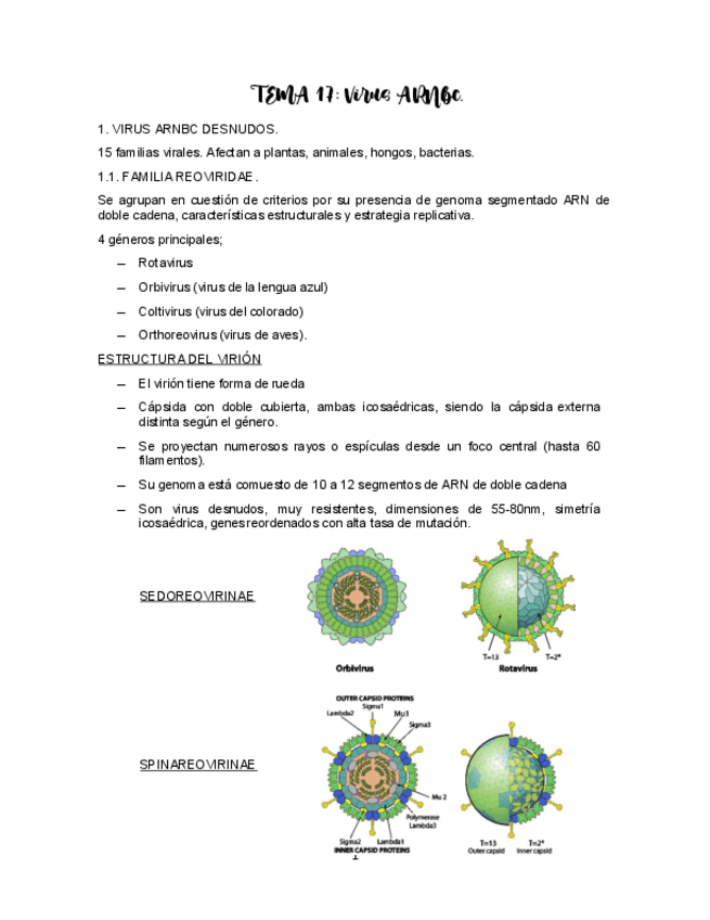 Miniatura del documento TEMA-17-VIROLOGIA.pdf