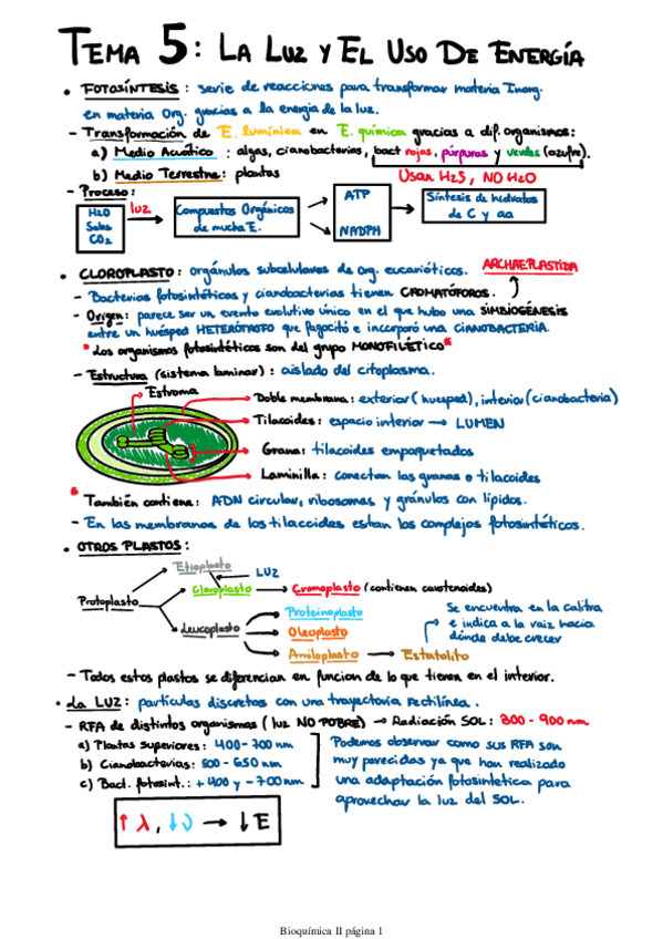 Miniatura del documento Fisio-Vegetal-Temas-5-y-6.pdf
