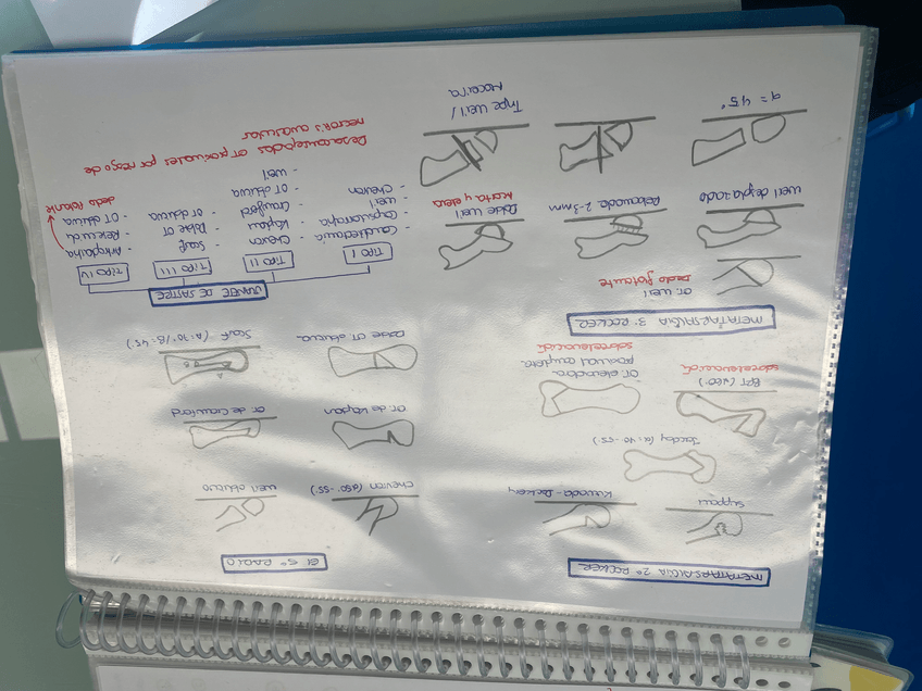 Miniatura del documento IMG9438.jpeg