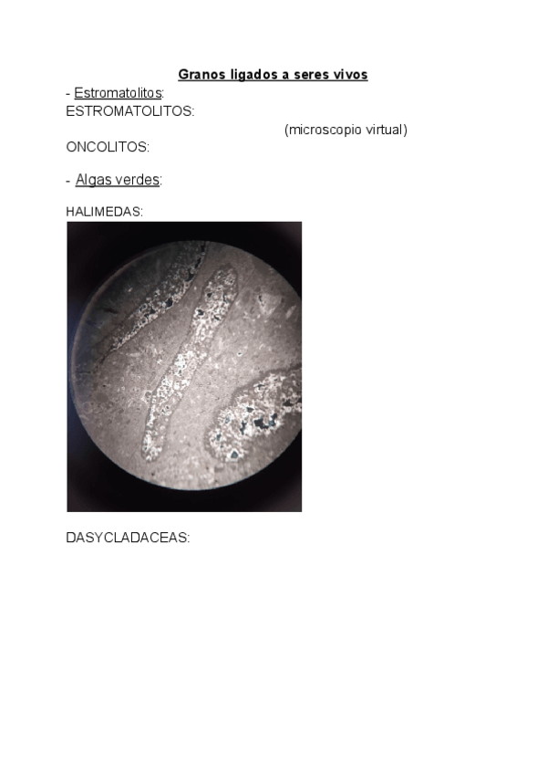 Miniatura del documento Imagenes-examen-microscopio.pdf